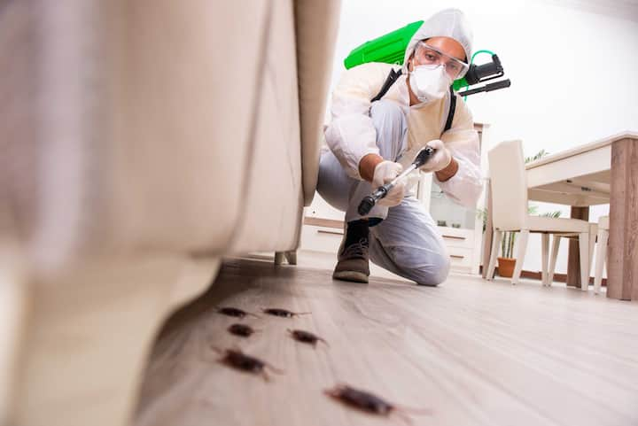 A picture of a man holding a can of pest control spray and aiming it at an unseen pest. The man appears to be indoors, possibly in a kitchen or other area where pests may be present. If you are dealing with a pest infestation in Sarasota, FL, consider contacting a professional pest control company in the area for assistance.